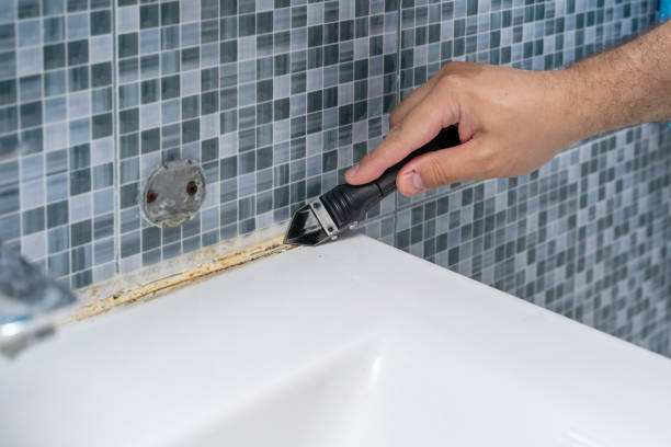 Mold Testing and Removal in North Aurora, IL